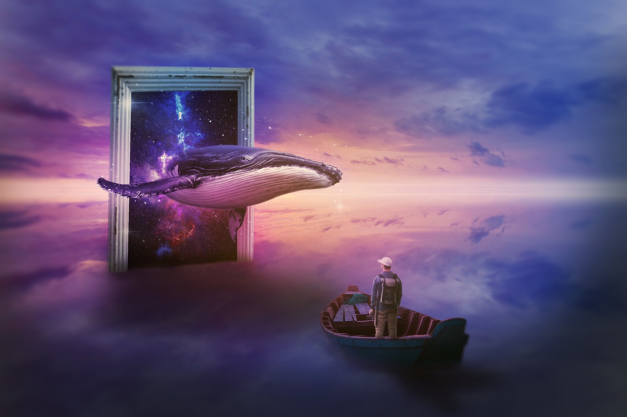 Creative Synthesis Whale Fantasy  - DerekTung / Pixabay