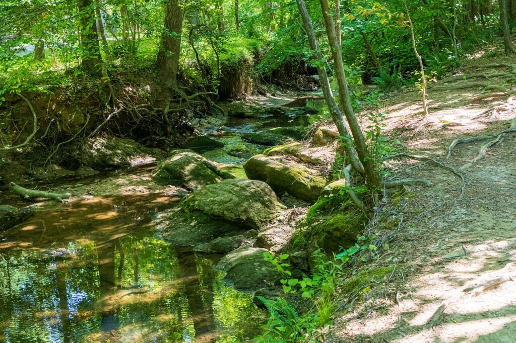 Creek Path Stream Path Secret Creek  - wileydoc / Pixabay