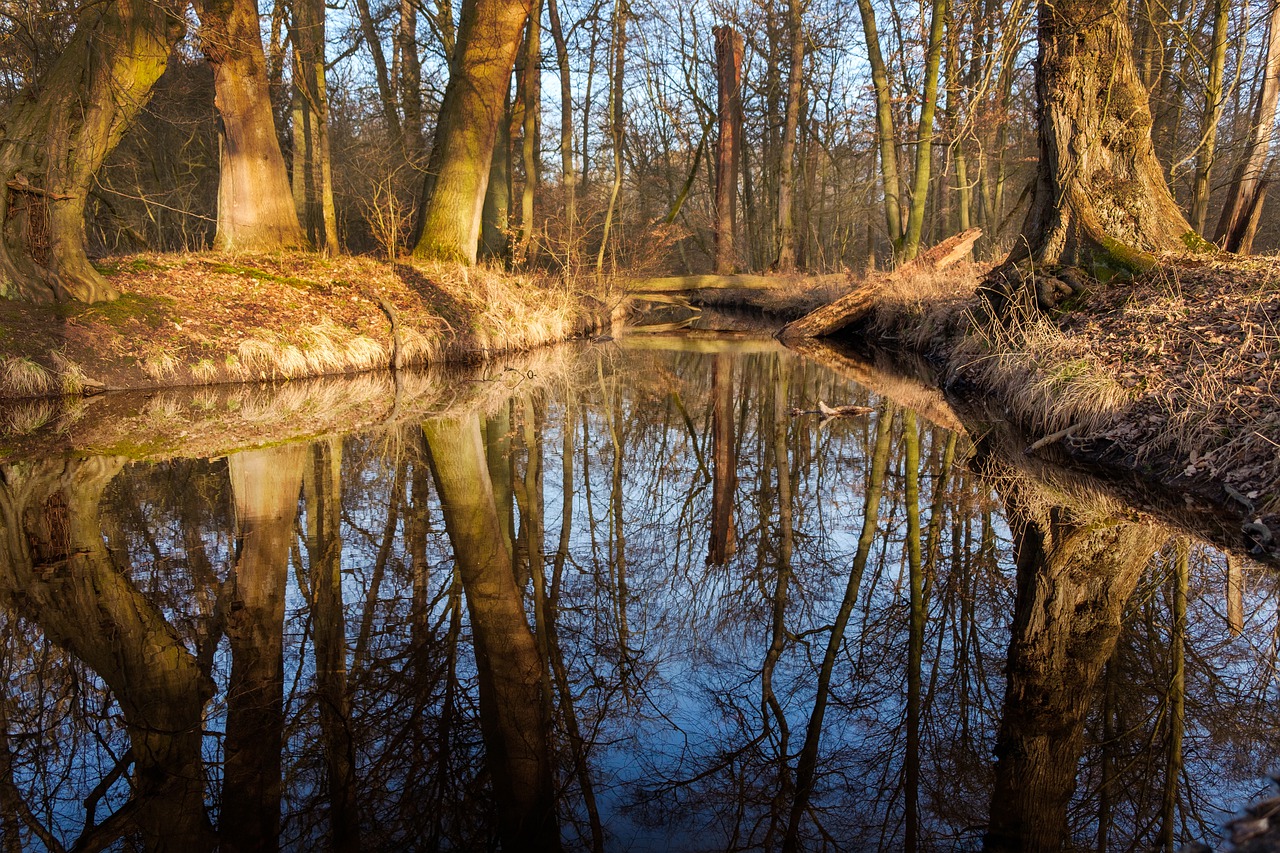 Creek Water Nature Rock Landscape  - music4life / Pixabay
