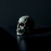 Creepy Dark Eerie Scary Skull  - Pexels / Pixabay