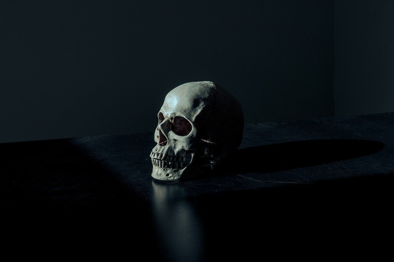 Creepy Dark Eerie Scary Skull  - Pexels / Pixabay