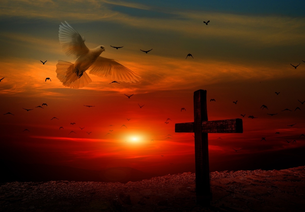 Cross Dove Sunset Faith Religion  - geralt / Pixabay