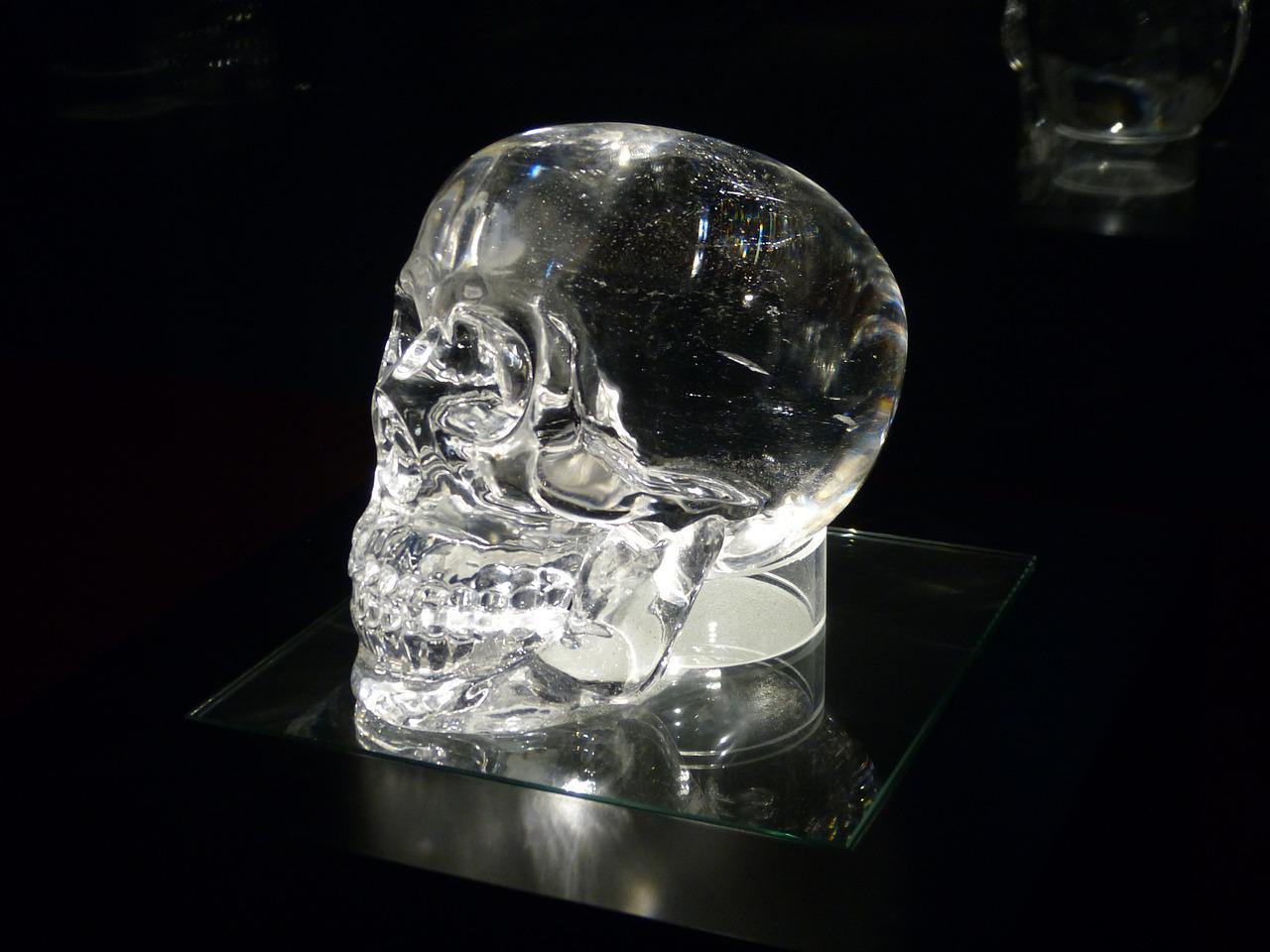 Crystal Skull Exhibition Skull  - Alfred_Koop / Pixabay