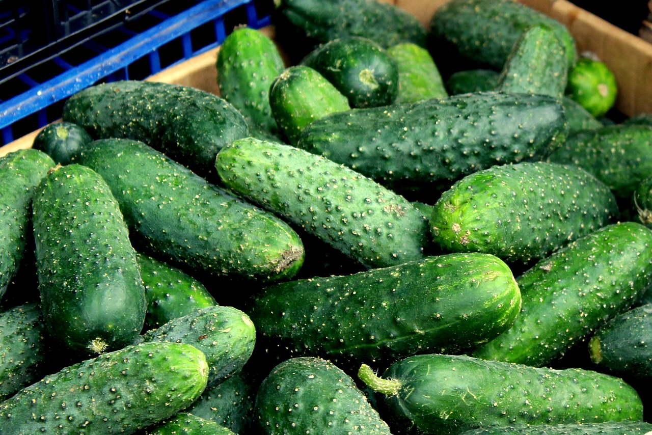 Cucumbers Vegetables Ripe Harvest - _Alicja_ / Pixabay