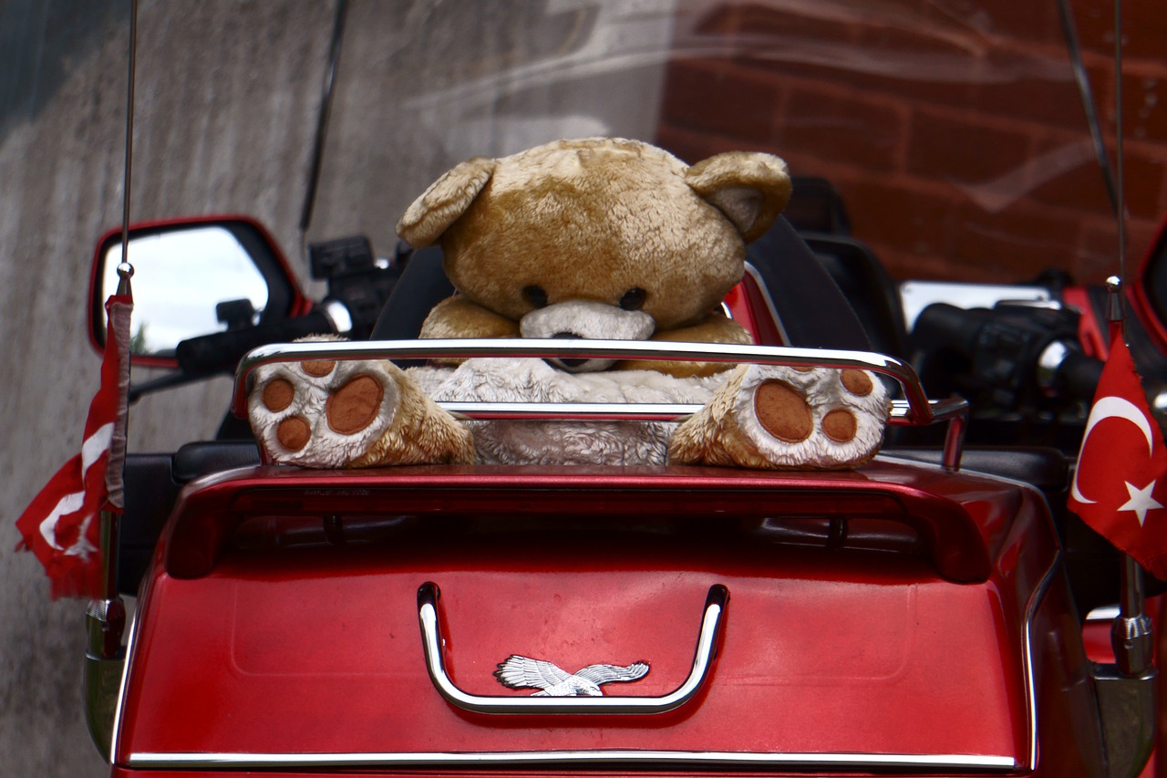 Cuddly Bear Plush Toys Turkish Flag - Janvanbizar / Pixabay