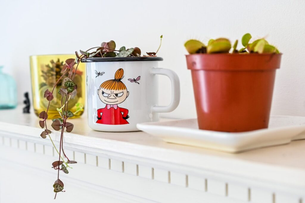 a mug and a plant on a table