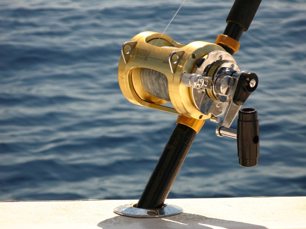 Deep Sea Fishing Penn Reel Ocean  - gwiseman / Pixabay