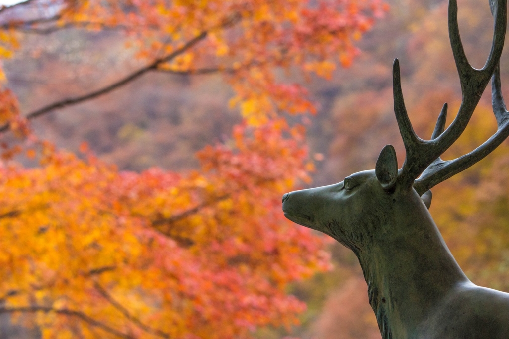 Deer Autumnal Leaves Maple Red  - ara0w0ara / Pixabay