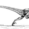 Deinonychus Dinosaur Prehistoric  - Tirriko / Pixabay