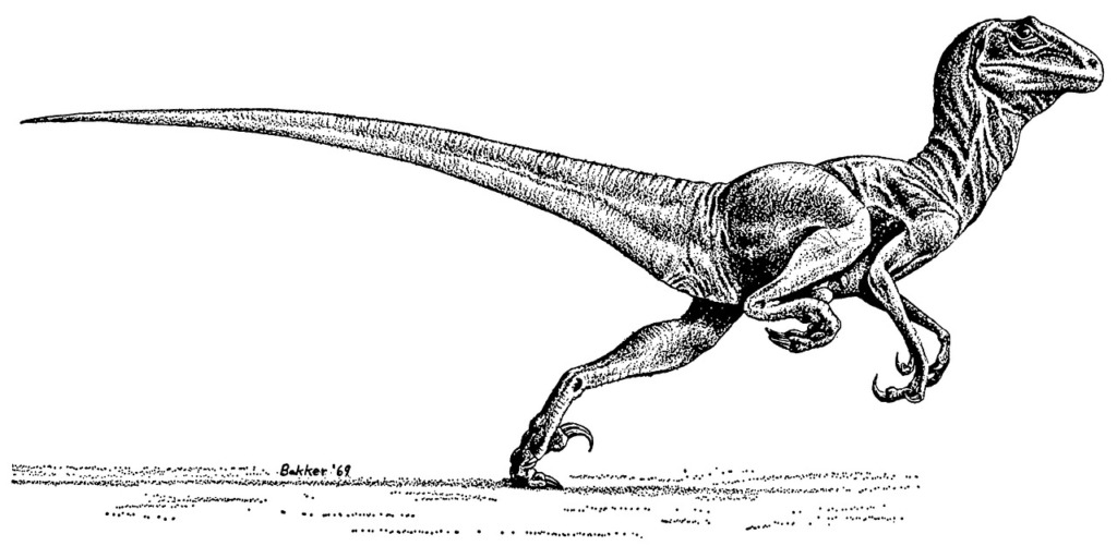 Deinonychus Dinosaur Prehistoric  - Tirriko / Pixabay