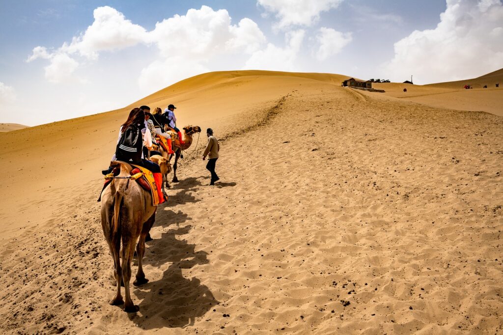 Desert Camels Ride Cameleers  - dsc62 / Pixabay