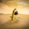 Desert Shark Lighthouse Sand  - SamKey / Pixabay