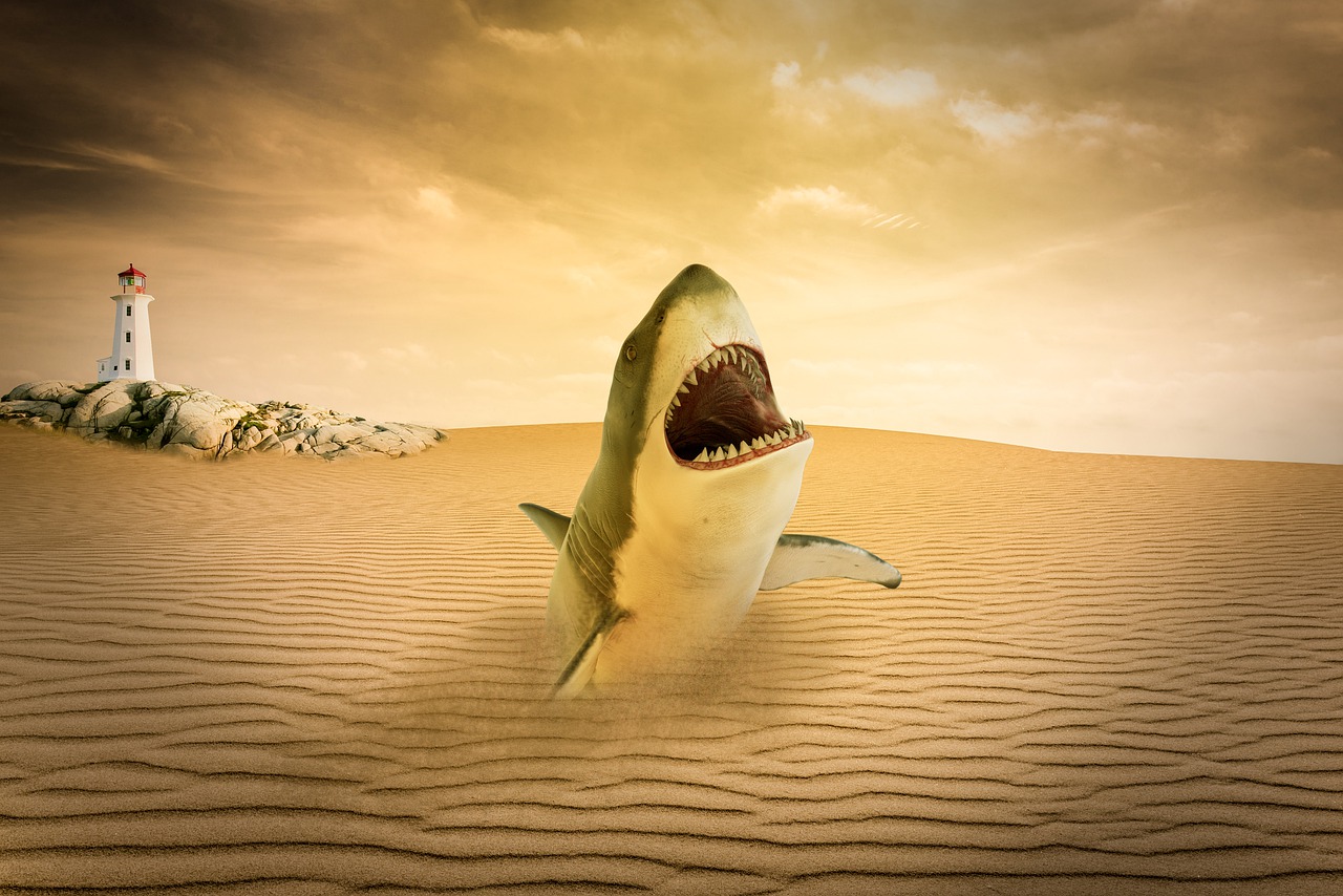 Desert Shark Lighthouse Sand  - SamKey / Pixabay