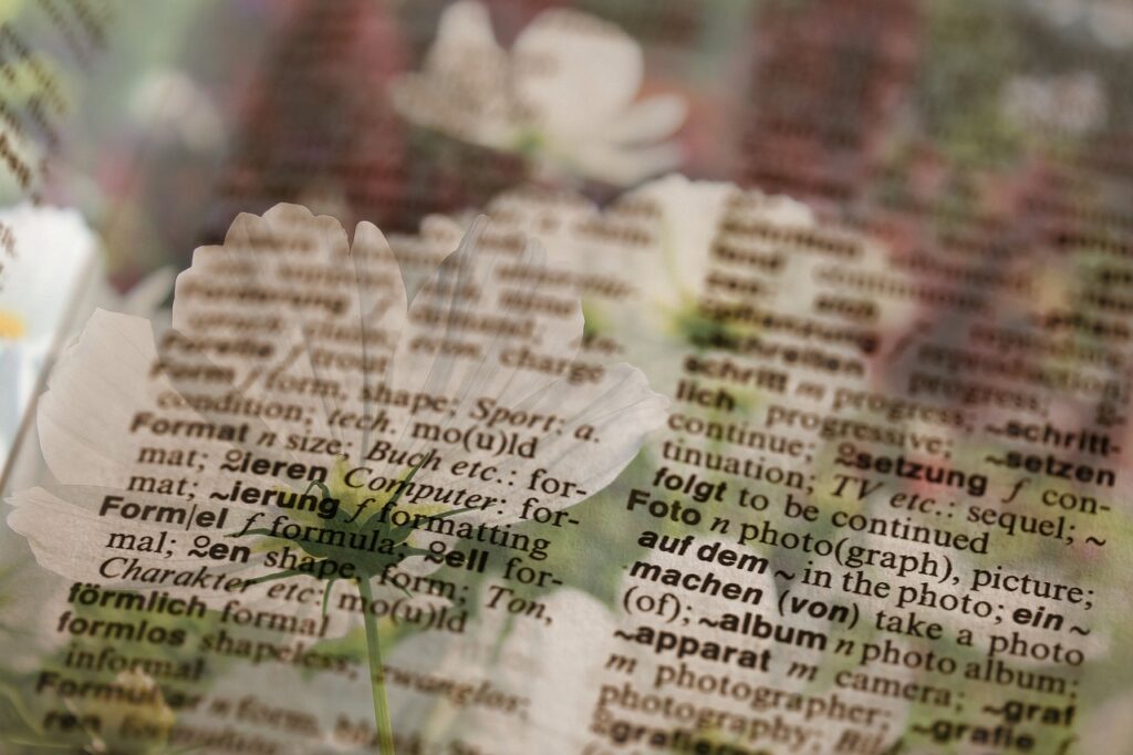 Dictionary Book Read Cosmea Flower  - Lolame / Pixabay