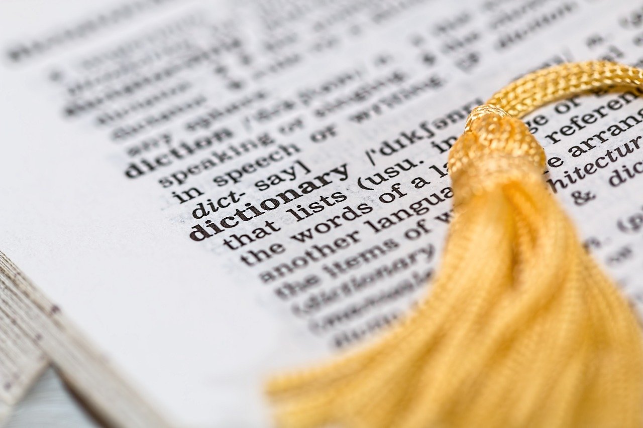 Dictionary Reference Book Learning  - stevepb / Pixabay