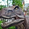 Dinosaur Dino Extinct Prehistoric  - PiotrZakrzewski / Pixabay