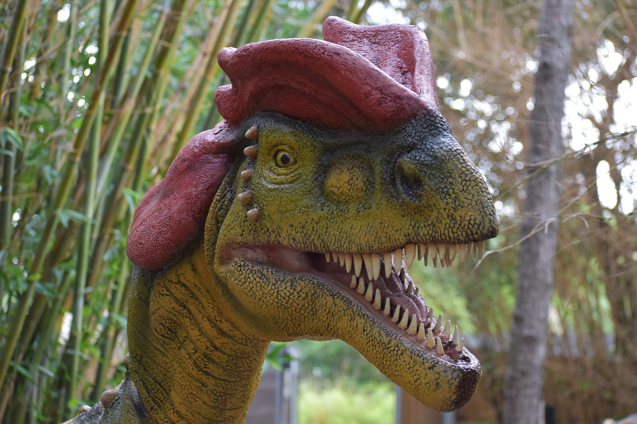 Dinosaur Historical Exhibit  - ArtisticOperations / Pixabay