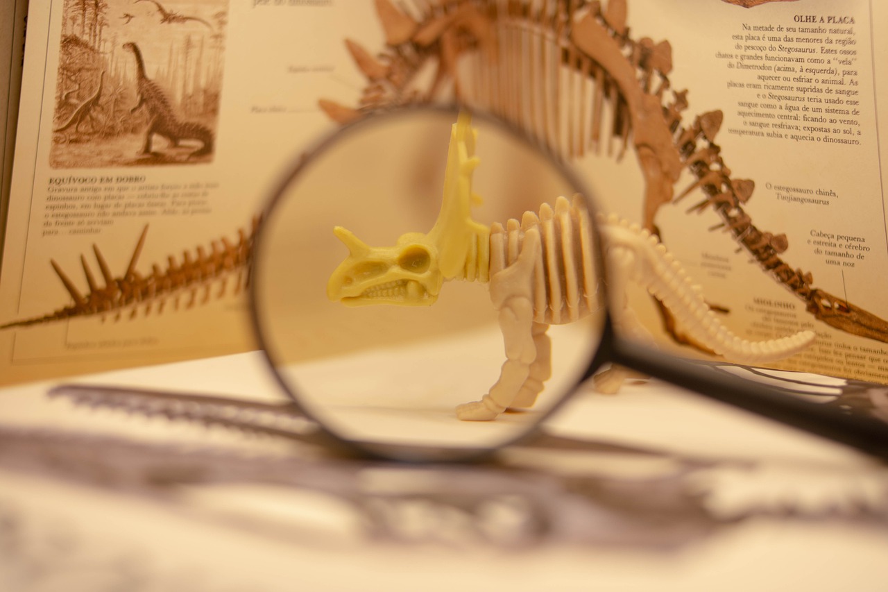 Dinosaur Paleontology Prehistoric - lucasgeorgewendt / Pixabay