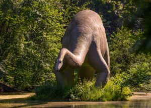 Dinosaur Sculpture Park Pond  - MandrillArt / Pixabay