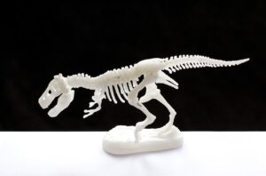 Dinosaur Skeleton Fossil Bones  - ks77 / Pixabay