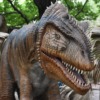 【恐竜】ティラノサウルスは3種いた？新説発表、王に加え皇帝、女王も