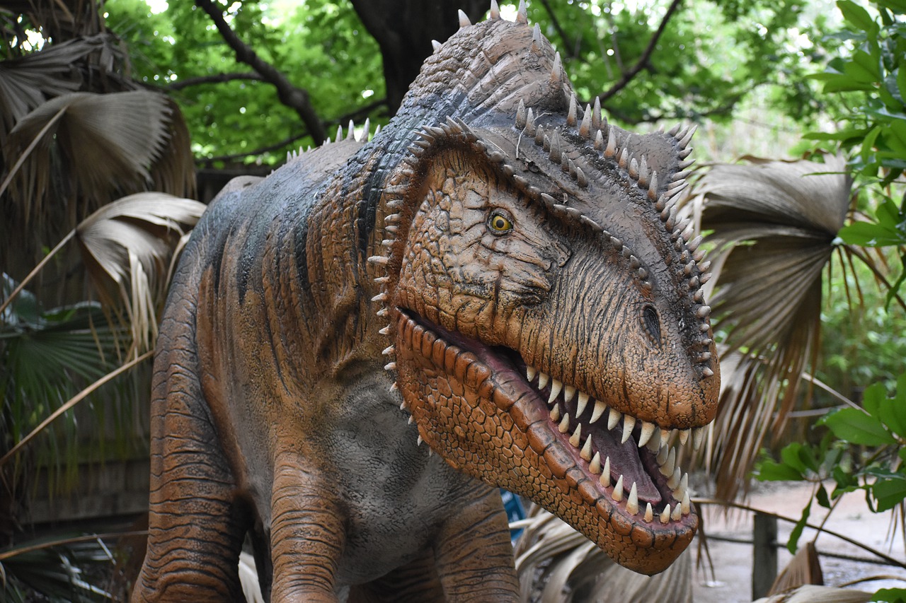 Dinosaur T Rex Skeleton Museum  - ArtisticOperations / Pixabay