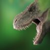 Dinosaur Tyrannosaurus Dino T Rex  - Yuri_B / Pixabay