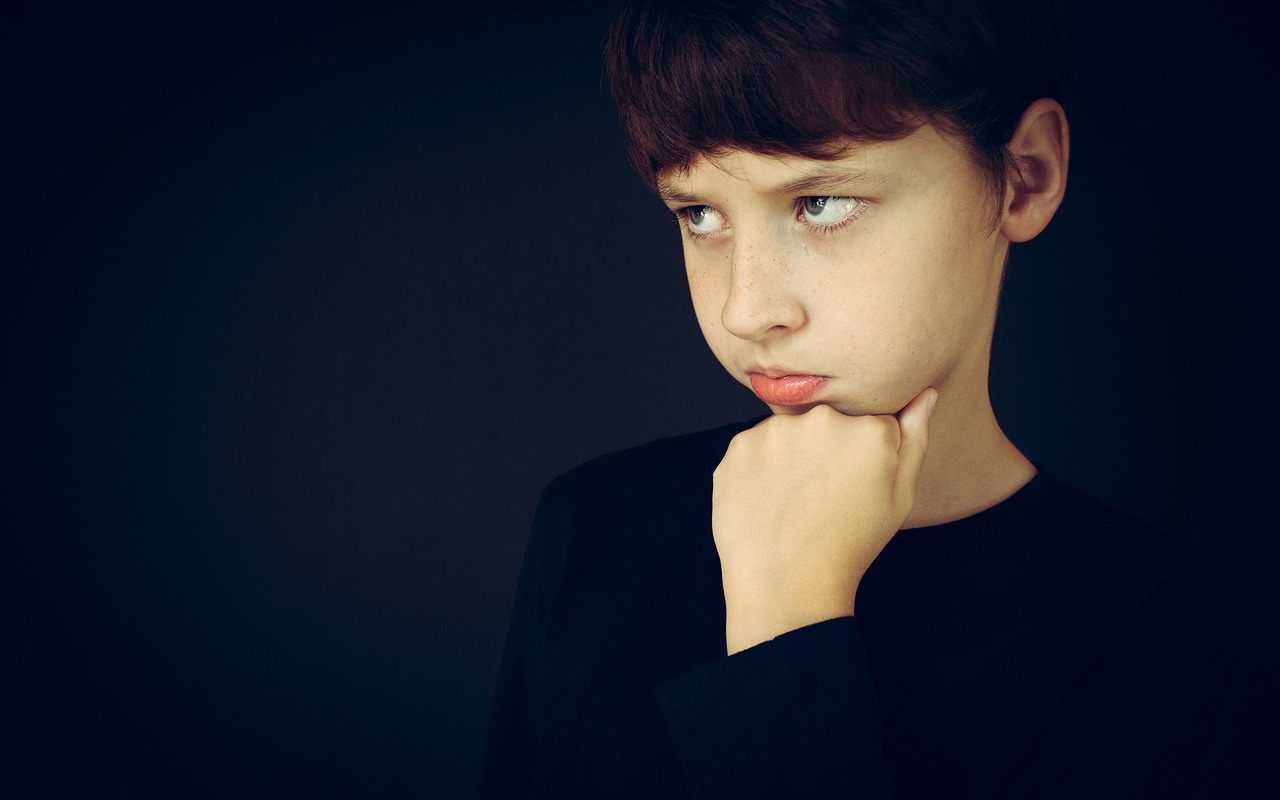 Discontent Question Distrust  - Victoria_Borodinova / Pixabay