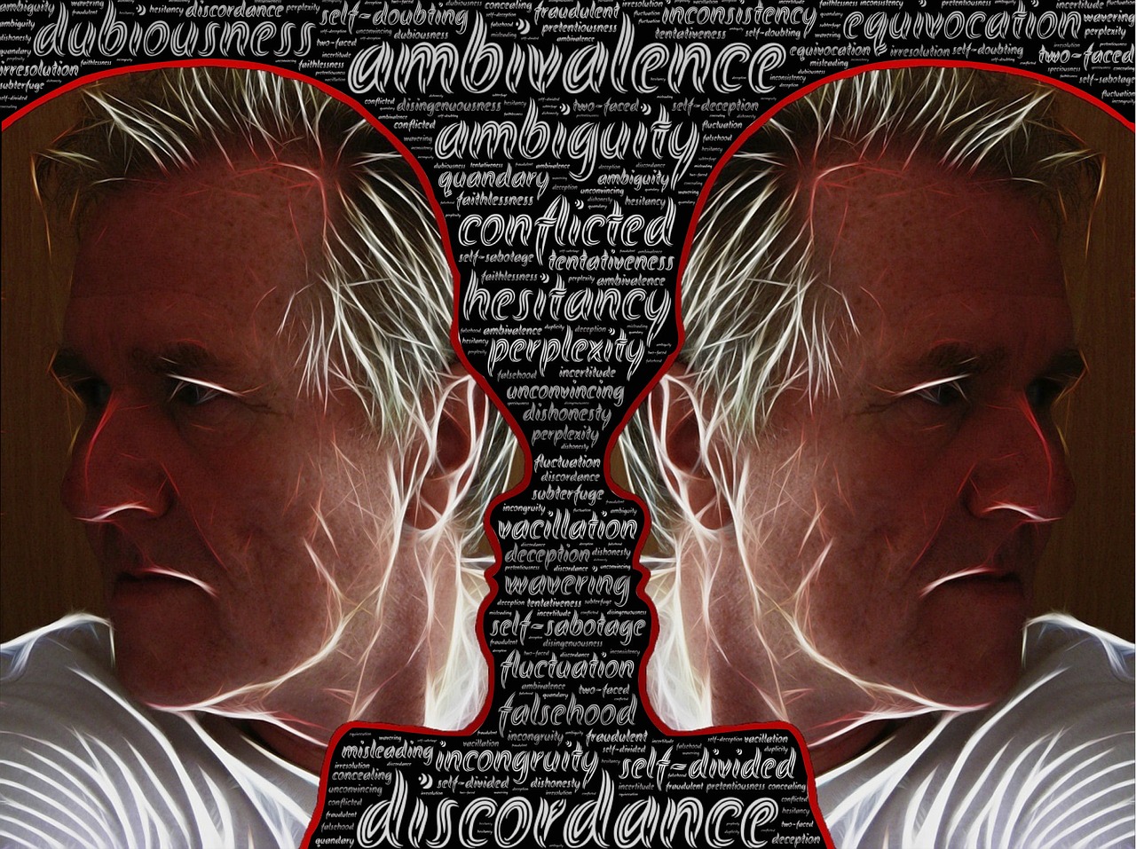 Discordance Ambivalence Ambiguity  - johnhain / Pixabay