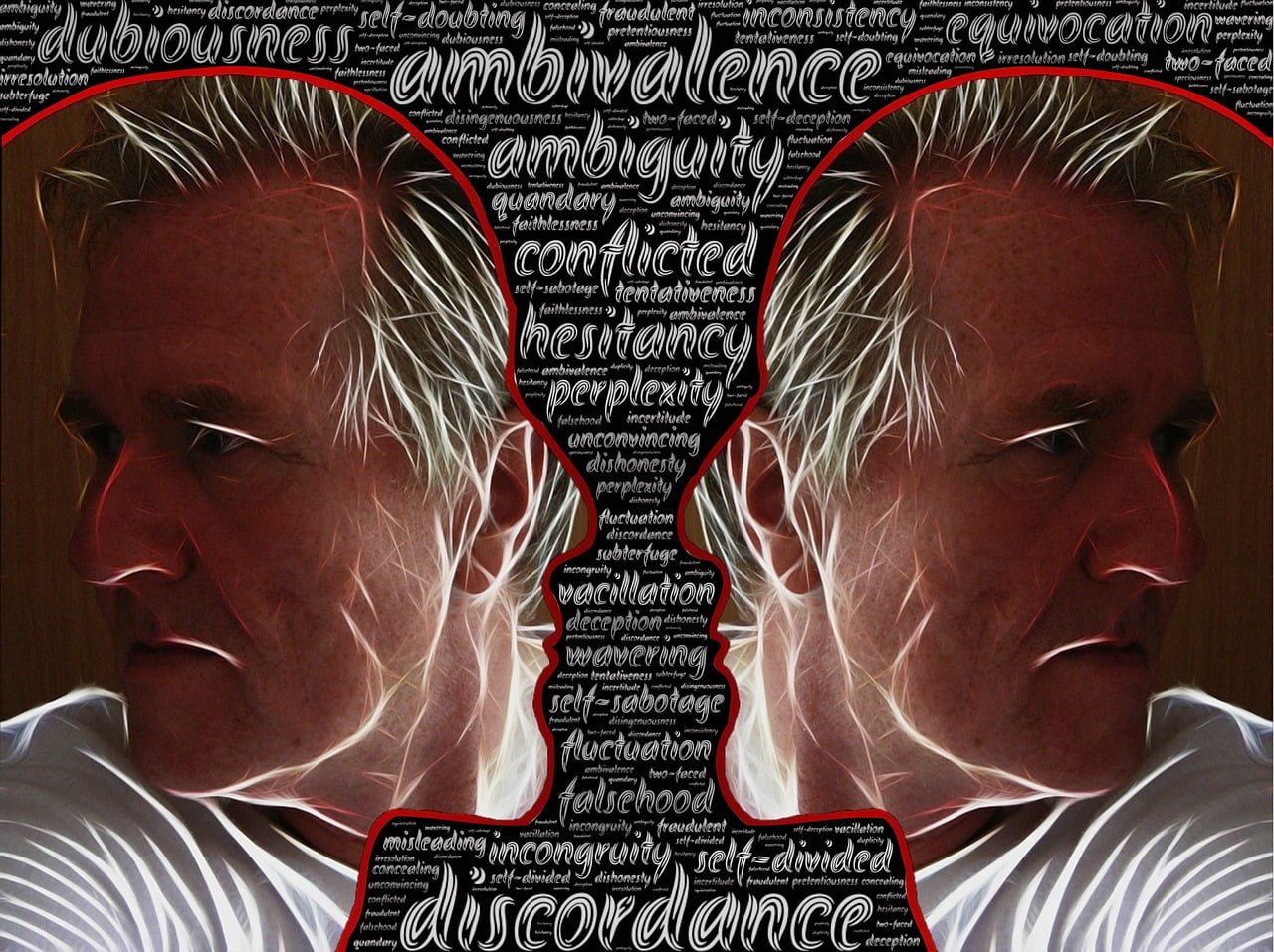 Discordance Ambivalence Ambiguity - johnhain / Pixabay