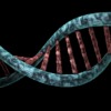 Dna Analysis Genetic Biological  - mirerek8 / Pixabay