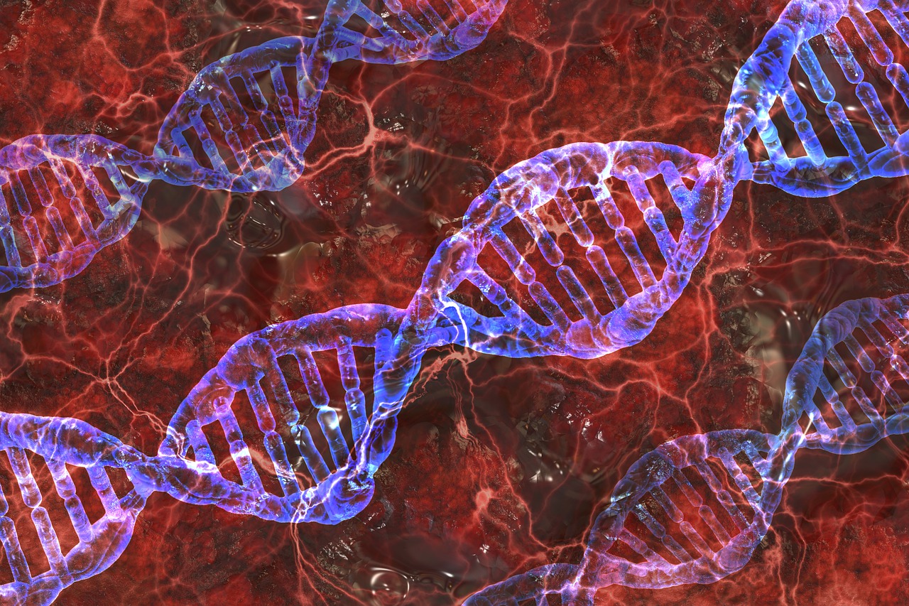 Dna Analysis Research  - geralt / Pixabay