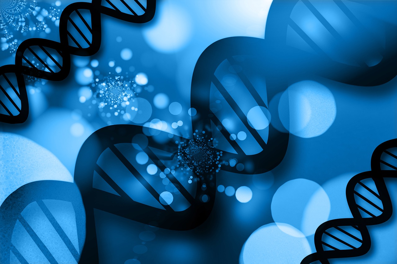 Dna Analysis Research  - geralt / Pixabay