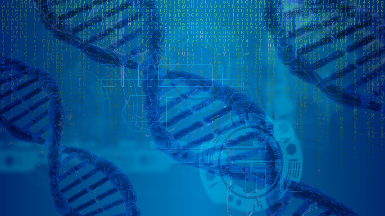 Dna Double Helix Genetics  - liyuanalison / Pixabay