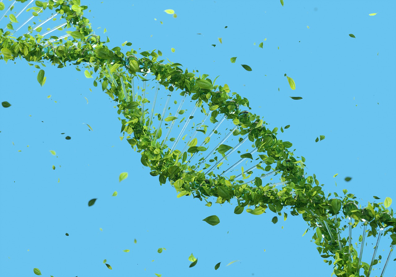 Dna Double Helix Sustainability  - RoadLight / Pixabay