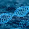 Dna Genetics Molecule Biology  - liyuanalison / Pixabay