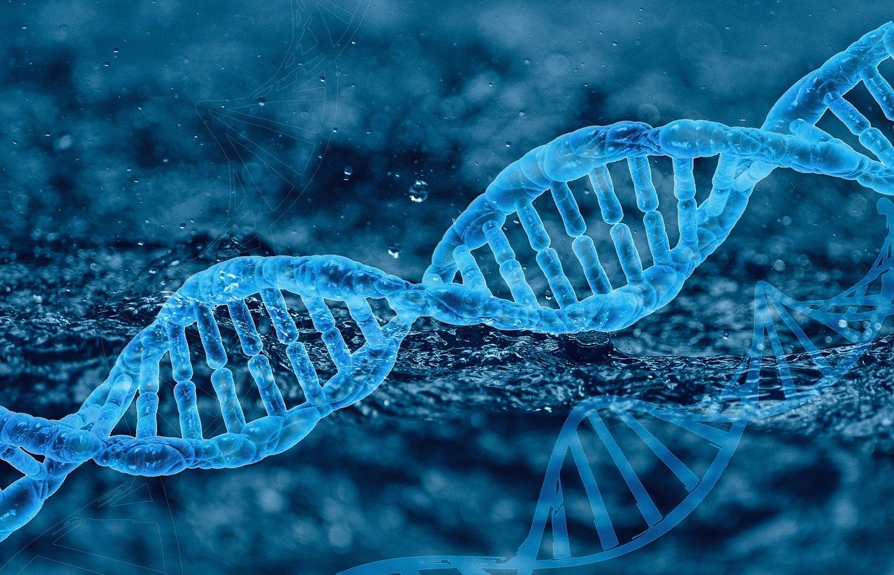 Dna Genetics Molecule Biology  - liyuanalison / Pixabay