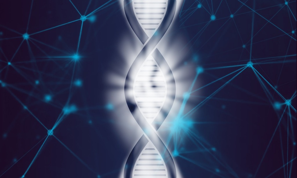 Dna Life Biotechnology Evolution  - TheDigitalArtist / Pixabay