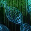 Dna Matrix Genetics Control  - TheDigitalArtist / Pixabay