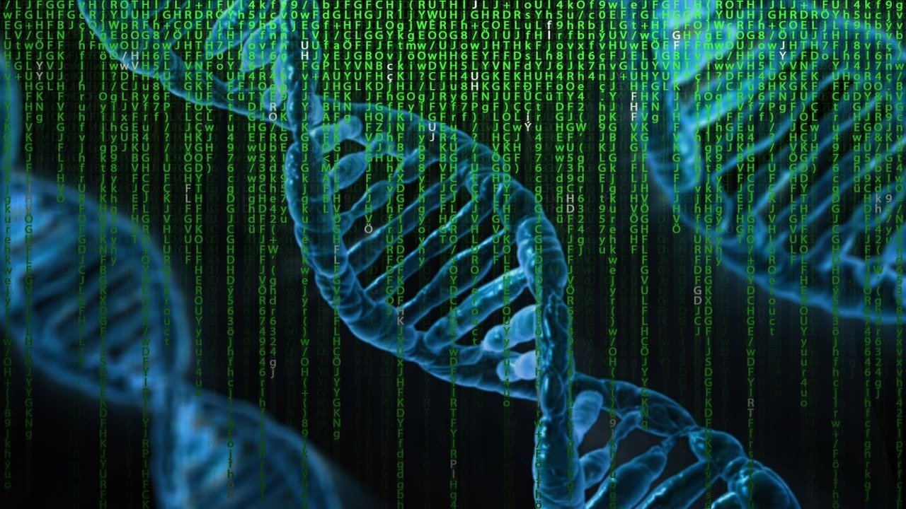 Dna Matrix Genetics Control  - TheDigitalArtist / Pixabay