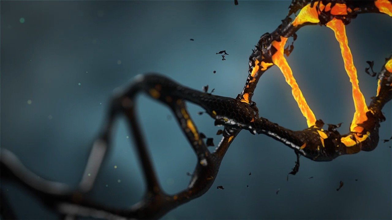 Dna Molecule Medicine Dna Dna Dna  - lisichik / Pixabay
