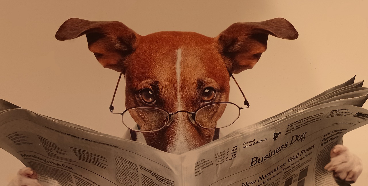 dog comic amusing funny humor 7389946