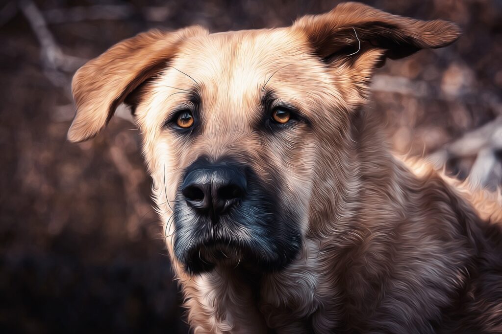 Dog Head Oil Painting Pet Animal  - ArtTower / Pixabay