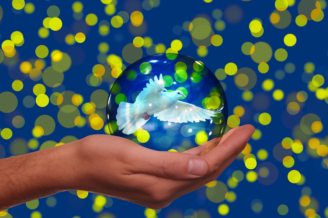 Dove Dove Of Peace Bokeh Peace  - geralt / Pixabay