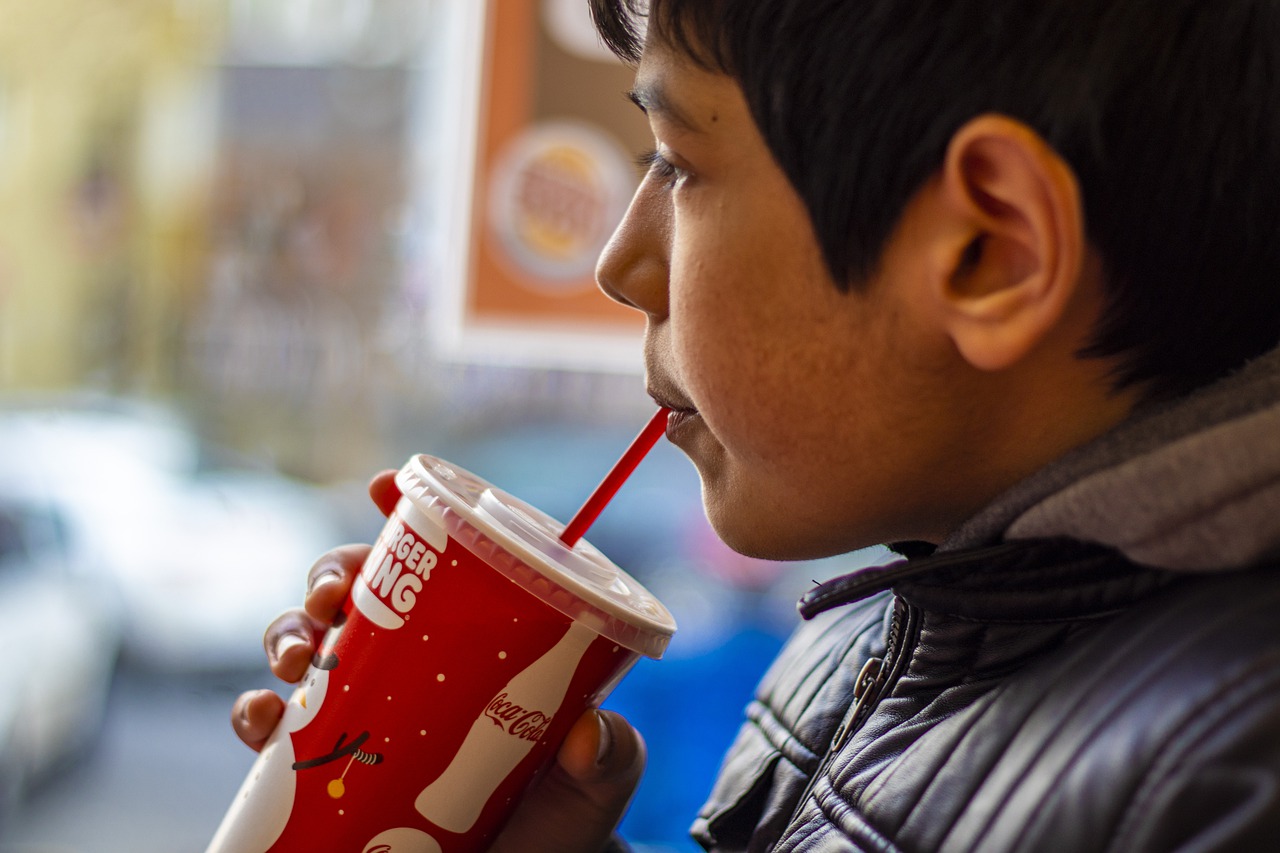 Drink Burger King Boy Fastfood - Servetphotograph / Pixabay