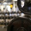 Dumbell Weights Gym Fitness  - jillrose999 / Pixabay