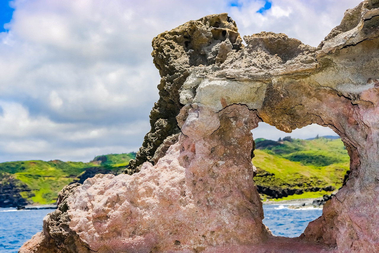 Earth Love Hawaii Planet Heart - SocialButterflyMMG / Pixabay