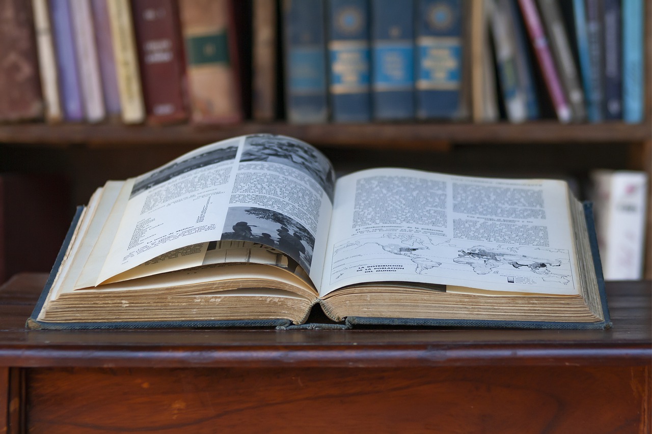 Education Books Library Reading  - AmericanAez220 / Pixabay