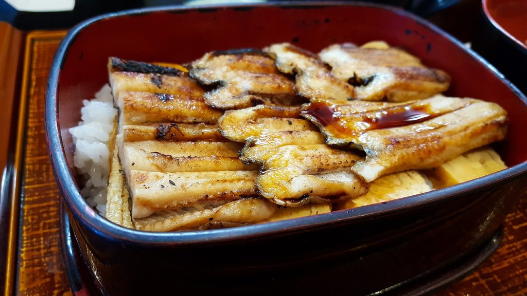 Eel Food Fish Dinner Healthy Rice  - Evelyn_Chai / Pixabay