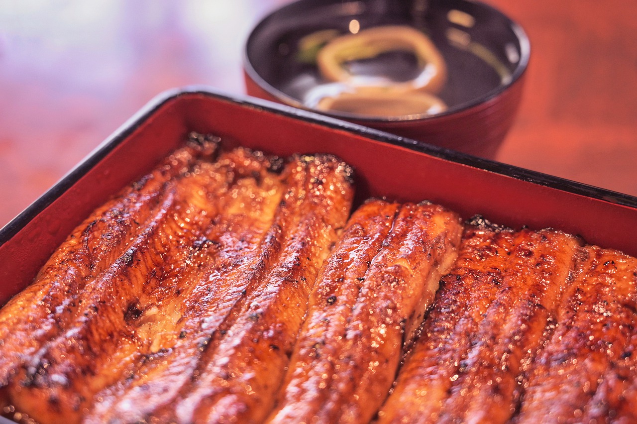 Eel Unagi Eel Kabayaki  - subarasikiai / Pixabay